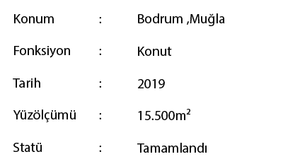 1193x